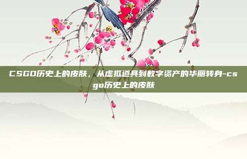 CSGO历史上的皮肤,从虚拟道具到数字资产的华丽转身-csgo历史上的皮肤