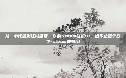 从一串代码到江湖名号,你的Steam联机ID,远不止是个数字-steam联机id