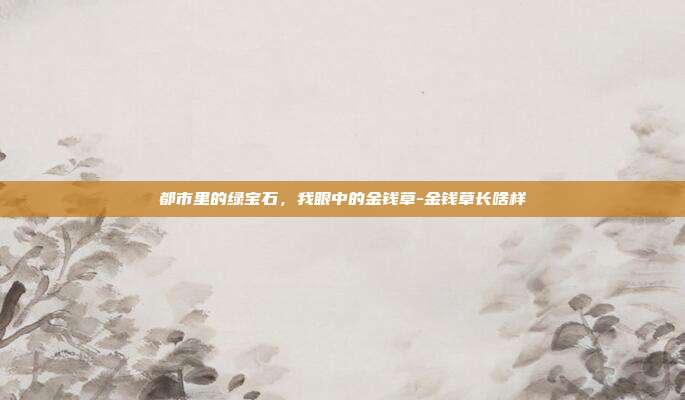 都市里的绿宝石，我眼中的金钱草-金钱草长啥样