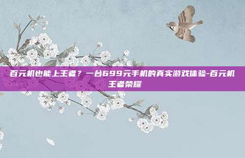 百元机也能上王者?一台699元手机的真实游戏体验-百元机 王者荣耀