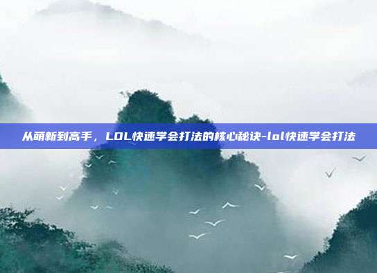 从萌新到高手,LOL快速学会打法的核心秘诀-lol快速学会打法