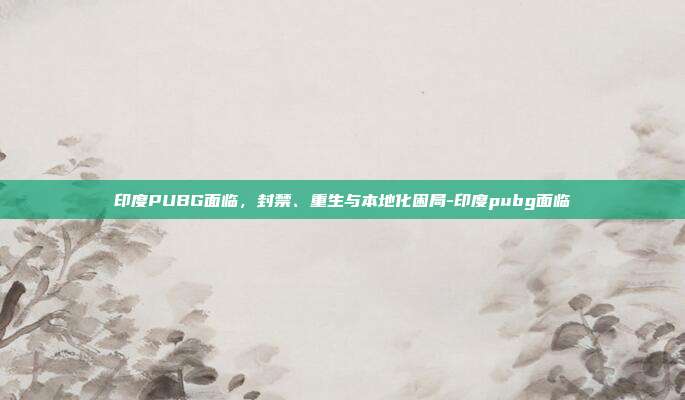 印度PUBG面临,封禁、重生与本地化困局-印度pubg面临