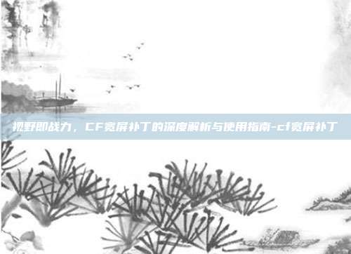 视野即战力,CF宽屏补丁的深度解析与使用指南-cf宽屏补丁