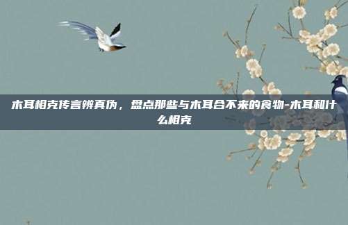 木耳相克传言辨真伪,盘点那些与木耳合不来的食物-木耳和什么相克