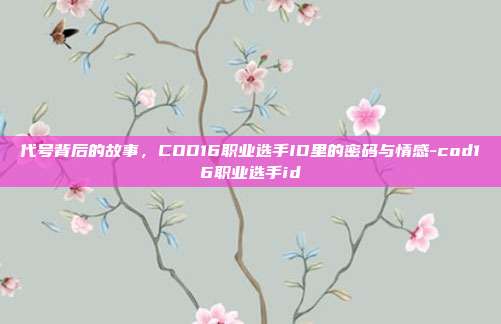 代号背后的故事,COD16职业选手ID里的密码与情感-cod16职业选手id