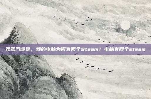 双蒸汽谜案，我的电脑为何有两个Steam？电脑有两个steam