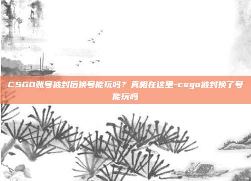 CSGO账号被封后换号能玩吗？真相在这里-csgo被封换了号能玩吗