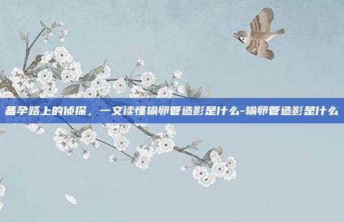 备孕路上的侦探，一文读懂输卵管造影是什么-输卵管造影是什么