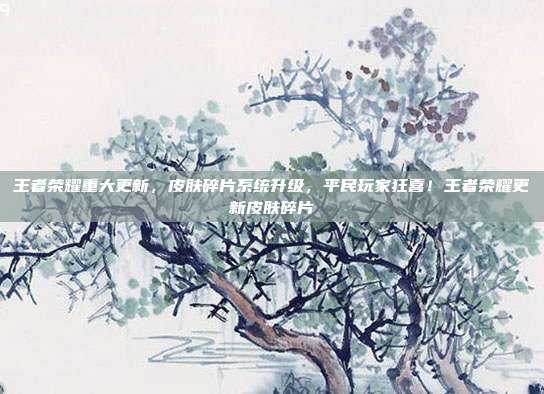 王者荣耀重大更新,皮肤碎片系统升级,平民玩家狂喜!王者荣耀更新皮肤碎片