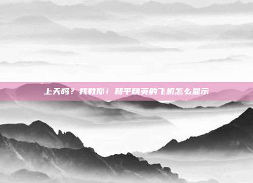上天吗?我教你!和平精英的飞机怎么显示