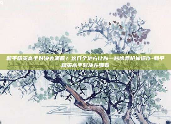 和平精英高手对决去哪看?这几个地方让你一秒偷师枪神操作-和平精英高手对决在哪看