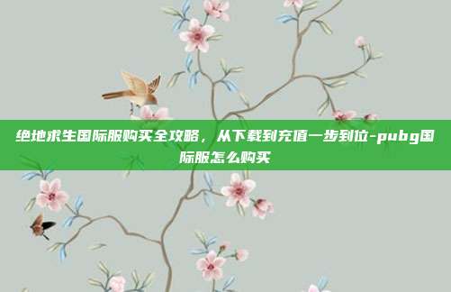 绝地求生国际服购买全攻略,从下载到充值一步到位-pubg国际服怎么购买