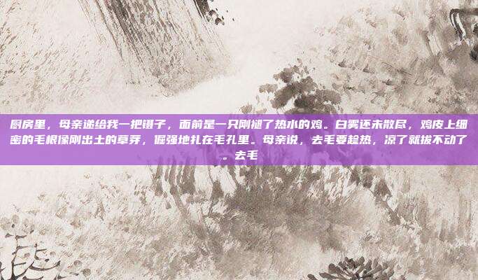 厨房里,母亲递给我一把镊子,面前是一只刚褪了热水的鸡。白雾还未散尽,鸡皮上细密的毛根像刚出土的草芽,倔强地扎在毛孔里。母亲说,去毛要趁热,凉了就拔不动了。去毛