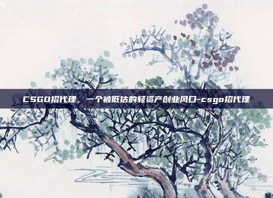 CSGO招代理，一个被低估的轻资产创业风口-csgo招代理