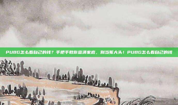 PUBG怎么看自己的钱?手把手教你查清家底,别当冤大头!PUBG怎么看自己的钱
