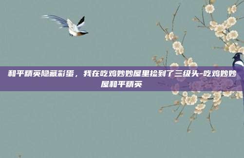 和平精英隐藏彩蛋，我在吃鸡妙妙屋里捡到了三级头-吃鸡妙妙屋和平精英