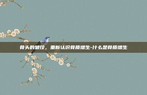 骨头的皱纹，重新认识骨质增生-什么是骨质增生