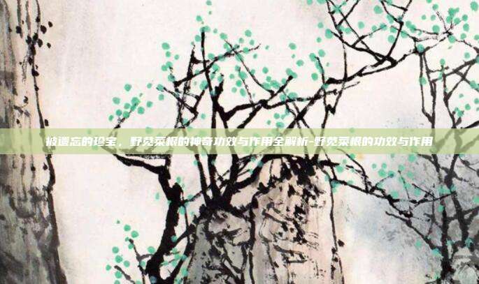 被遗忘的珍宝,野苋菜根的神奇功效与作用全解析-野苋菜根的功效与作用