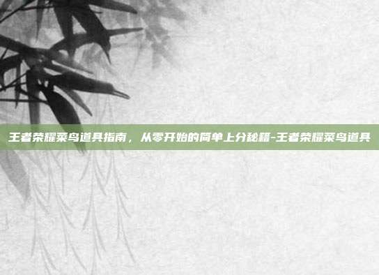 王者荣耀菜鸟道具指南，从零开始的简单上分秘籍-王者荣耀菜鸟道具