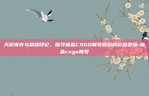 天价库存与荣耀印记,探寻极品CSGO帐号背后的价值逻辑-极品csgo帐号