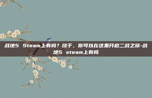 战地5 Steam上有吗？终于，你可以在这里开启二战之旅-战地5 steam上有吗