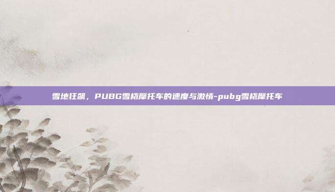 雪地狂飙,PUBG雪橇摩托车的速度与激情-pubg雪橇摩托车