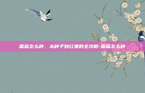 番茄怎么种，从种子到红果的全攻略-番茄怎么种