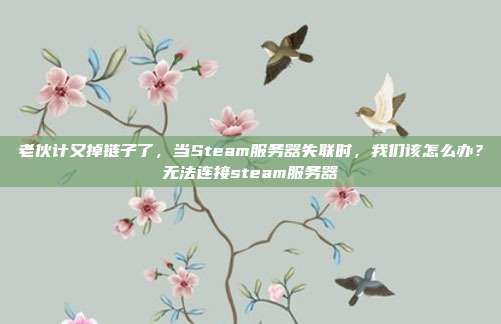 老伙计又掉链子了，当Steam服务器失联时，我们该怎么办？无法连接steam服务器