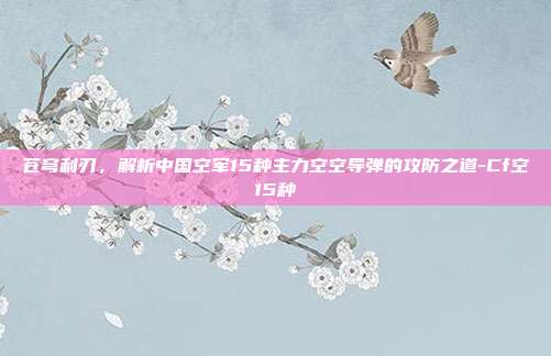 苍穹利刃,解析中国空军15种主力空空导弹的攻防之道-Cf空15种