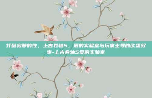 打破寂静的性，上古卷轴5，爱的实验室与玩家主导的欲望叙事-上古卷轴5爱的实验室