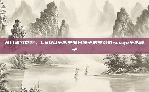 从口嗨到倒狗,CSGO车队里那只喷子的生态位-csgo车队喷子