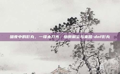 暗夜中的影丸，一缕太刀光，斩断前尘与来路-dnf影丸