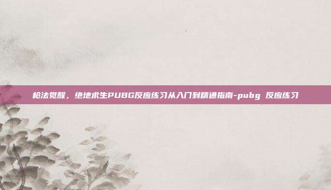 枪法觉醒，绝地求生PUBG反应练习从入门到精通指南-pubg 反应练习