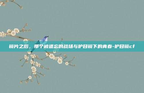镜片之后，那个被遗忘的战场与护目镜下的青春-护目镜cf