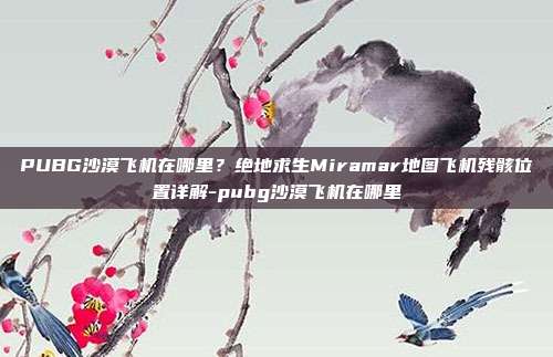 PUBG沙漠飞机在哪里?绝地求生Miramar地图飞机残骸位置详解-pubg沙漠飞机在哪里
