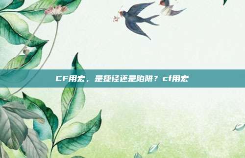 CF用宏，是捷径还是陷阱？cf用宏