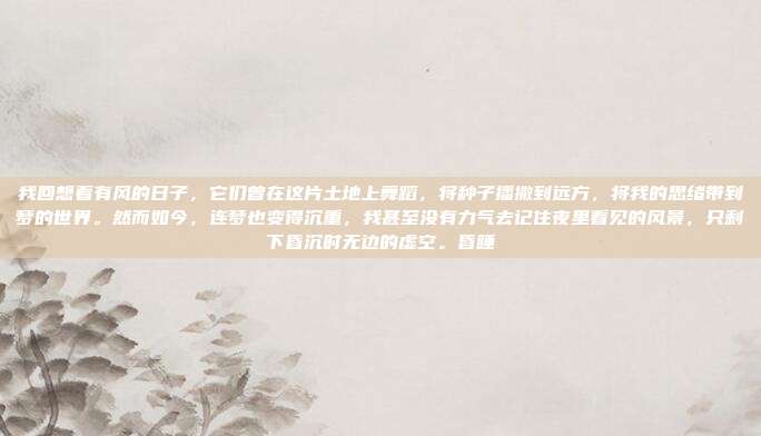 我回想着有风的日子，它们曾在这片土地上舞蹈，将种子播撒到远方，将我的思绪带到梦的世界。然而如今，连梦也变得沉重，我甚至没有力气去记住夜里看见的风景，只剩下昏沉时无边的虚空。昏睡