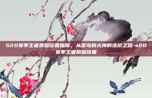 S20赛季王者荣耀设置指南,从菜鸟到大神的进阶之路-s20赛季王者荣耀设置