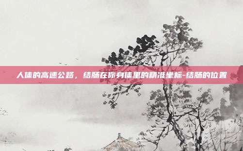 人体的高速公路,结肠在你身体里的精准坐标-结肠的位置