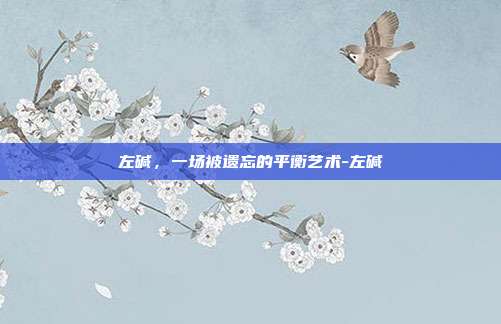 左碱,一场被遗忘的平衡艺术-左碱