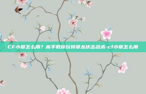 CF小草怎么用?高手教你玩转草丛伏击战术-cf小草怎么用