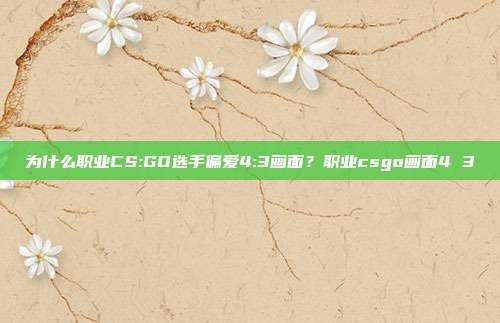为什么职业CS:GO选手偏爱4:3画面?职业csgo画面4 3