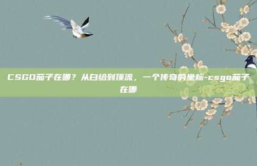 CSGO茄子在哪？从白给到顶流，一个传奇的坐标-csgo茄子在哪