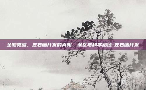 全脑觉醒,左右脑开发的真相、误区与科学路径-左右脑开发
