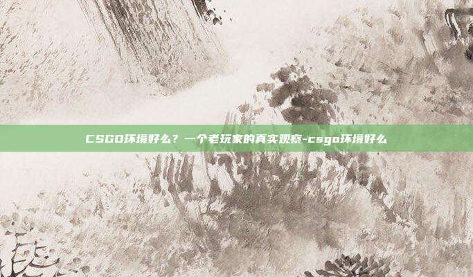 CSGO环境好么?一个老玩家的真实观察-csgo环境好么