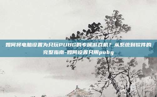 如何将电脑设置为只玩PUBG的专属游戏机？从系统到软件的完整指南-如何设置只用pubg