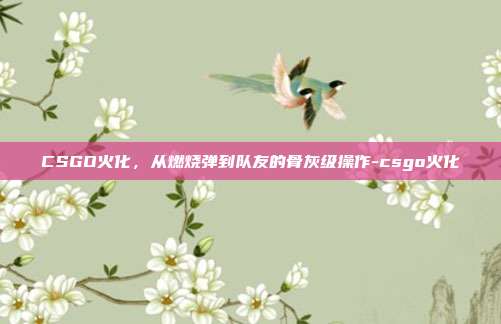 CSGO火化,从燃烧弹到队友的骨灰级操作-csgo火化