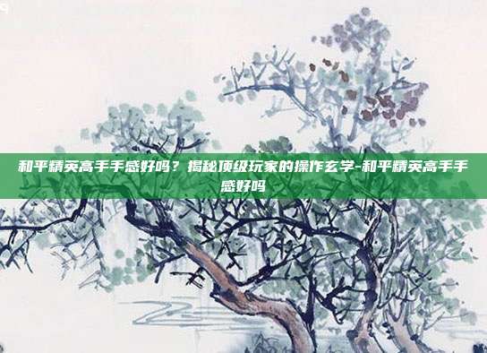 和平精英高手手感好吗?揭秘顶级玩家的操作玄学-和平精英高手手感好吗