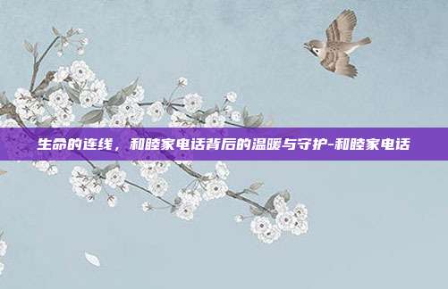 生命的连线,和睦家电话背后的温暖与守护-和睦家电话