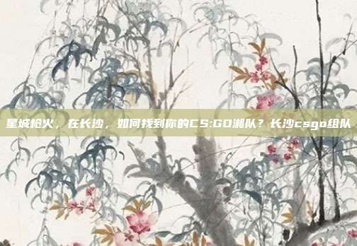 星城枪火,在长沙,如何找到你的CS:GO湘队?长沙csgo组队